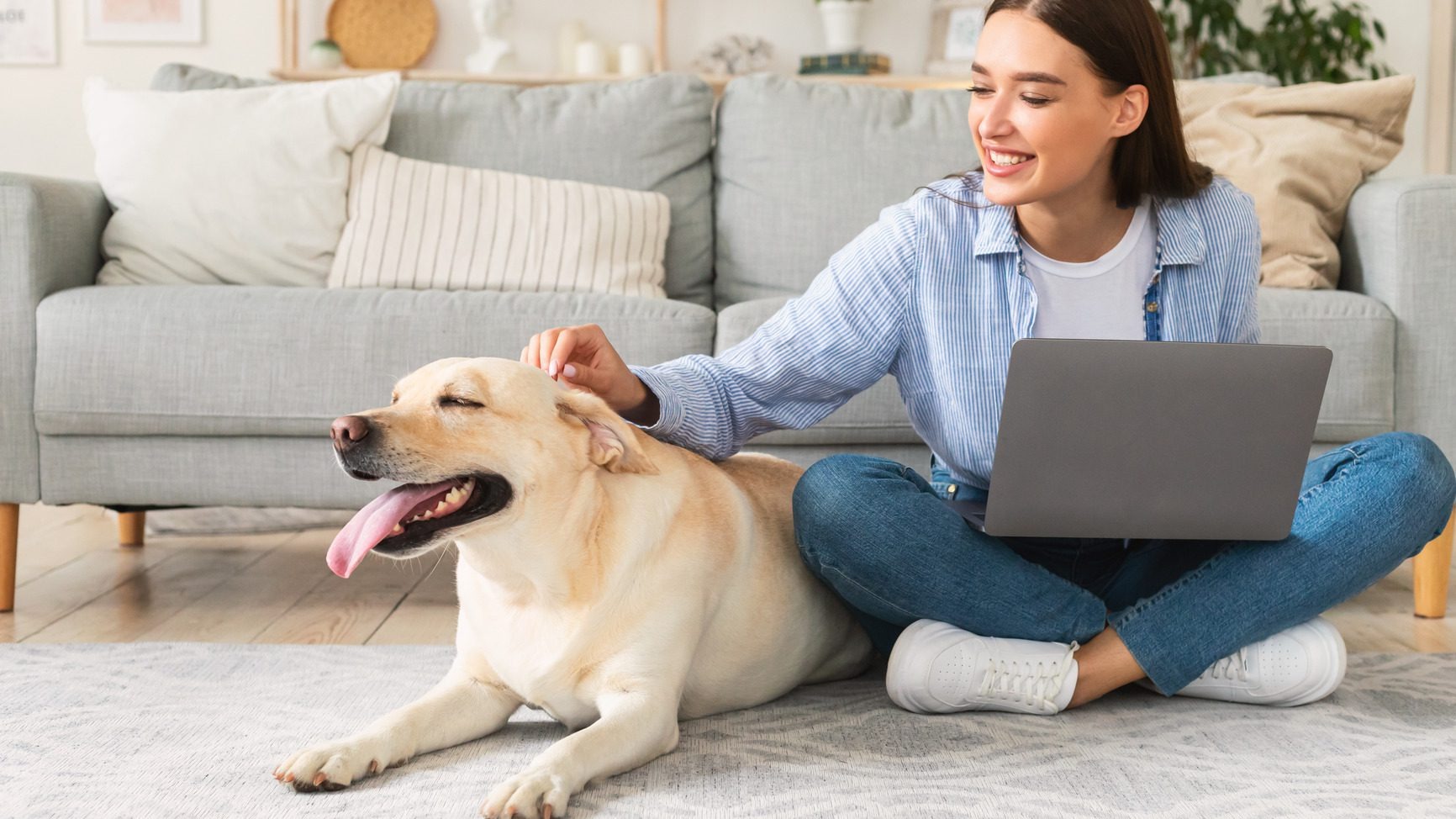 La Jolla company brings new era of telehealth to pets